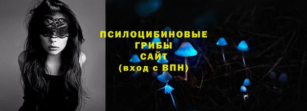 Альфа ПВП Алексин
