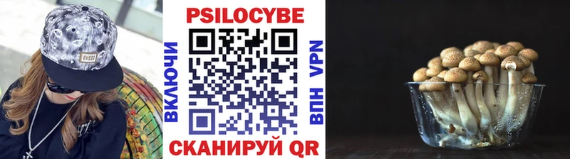 Псилоцибиновые грибы Cubensis  купить наркотики цена  Могоча 
